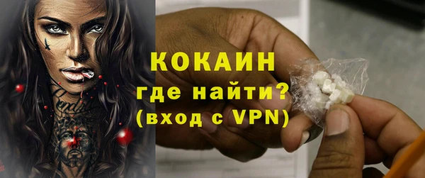 индика Надым