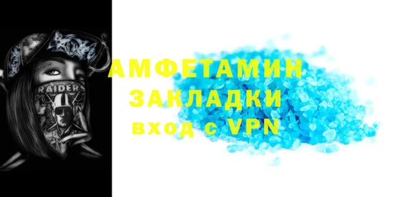индика Надым