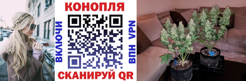 продажа наркотиков  Великие Луки  Каннабис конопля 